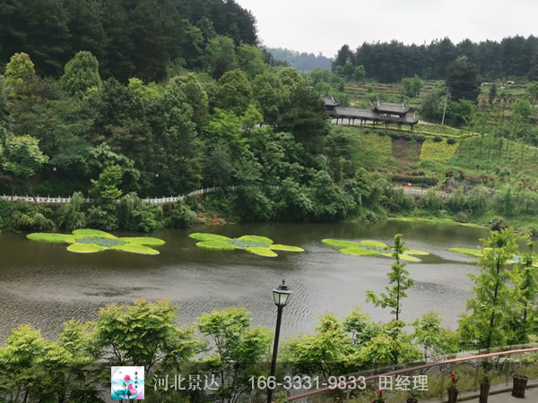 浮岛湿地