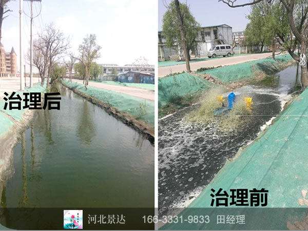 天津大港尚海湾黑臭水治理前后对比