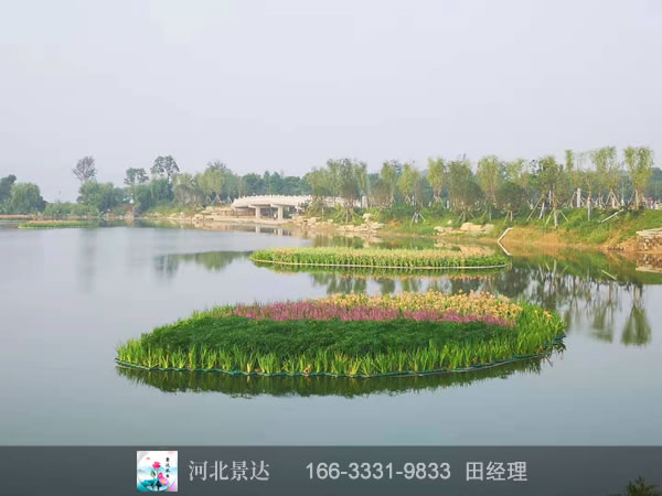 浮岛湿地