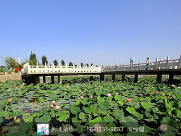 黑龙江省大庆市杜尔伯特蒙古族自治县连环湖温泉景区恢复过程