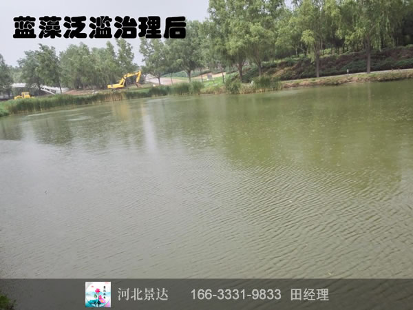 北京某工程学院工湖蓝藻泛滥治理前后对比图