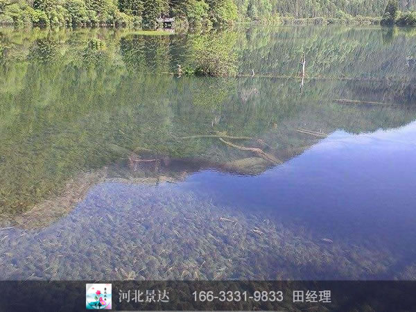 水下森林