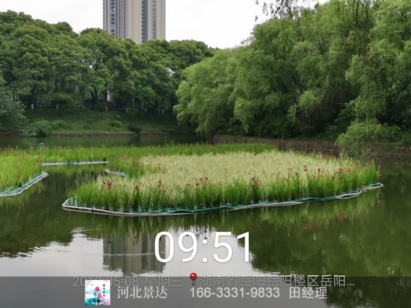 人工生态浮岛