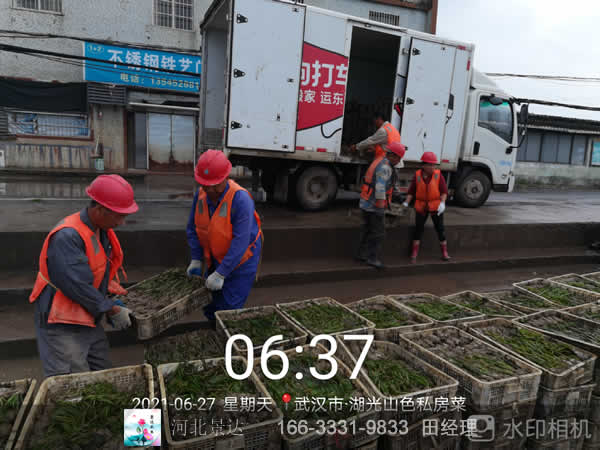 施工现场
