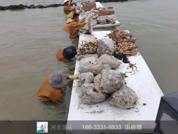施工现场
