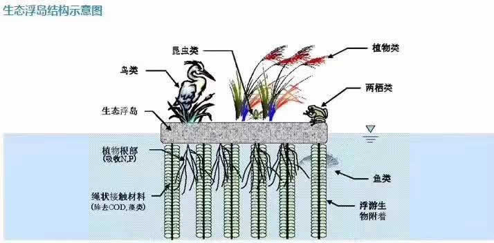 人工生态浮岛