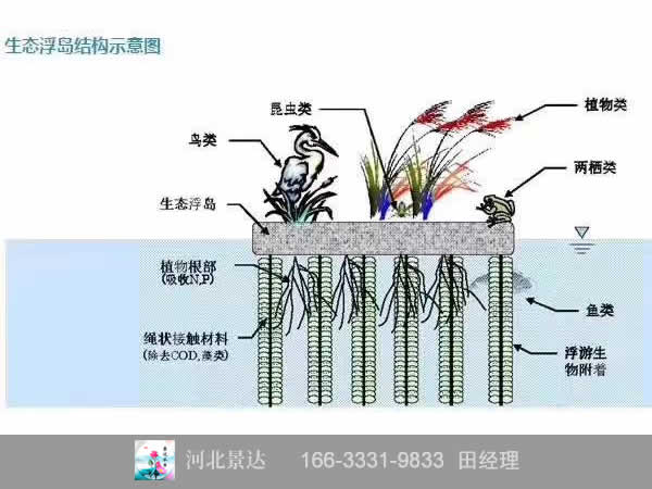人工生态浮岛