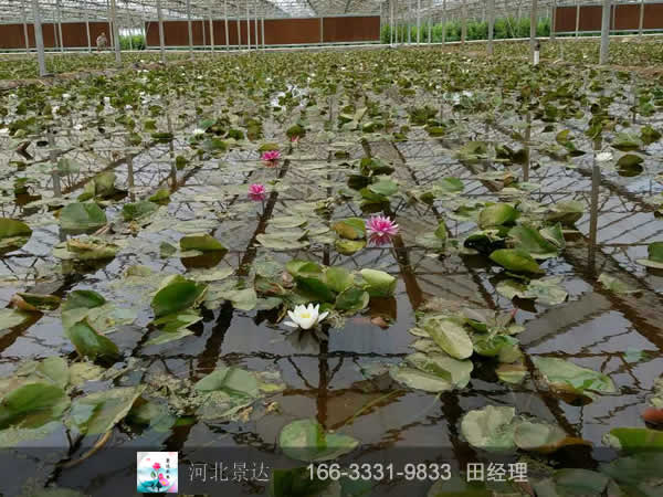 施工现场
