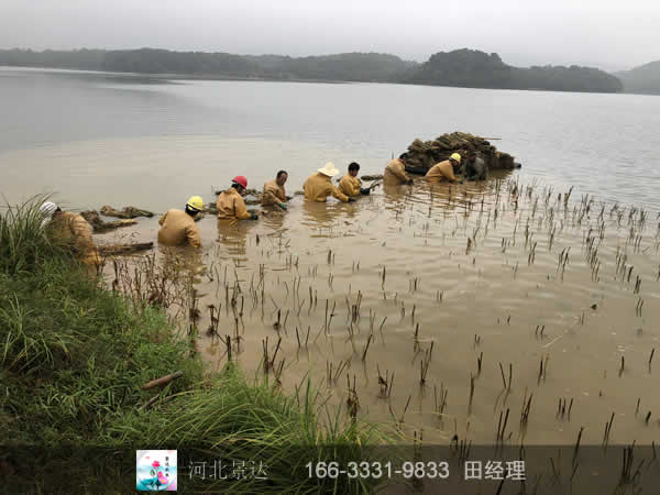 施工现场