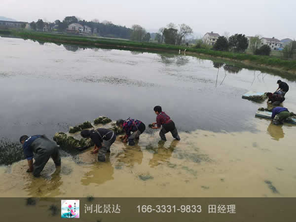施工现场